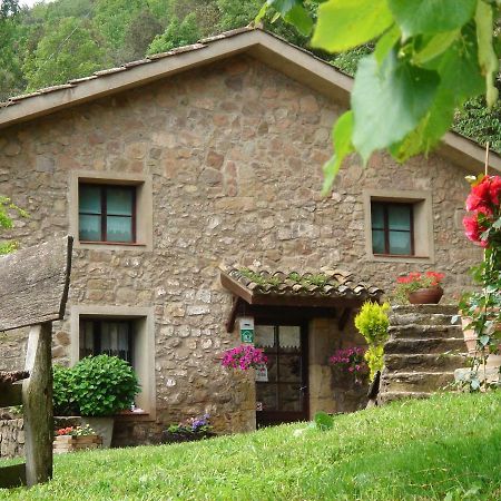 Mas El Bosquet Villa Joanetes Eksteriør bilde